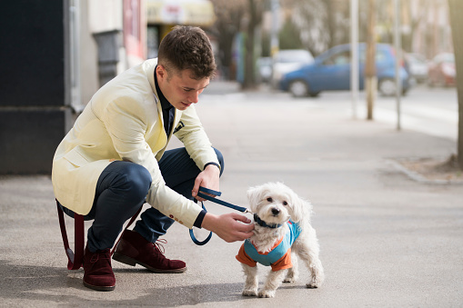 Handsome young man putting on a leash to his dog.