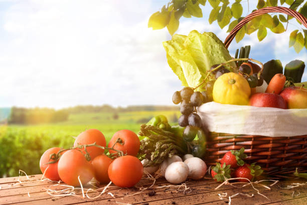 istock Fruits and vegetables on table and crop landscape background lateral 680283590