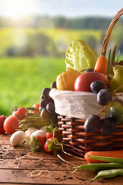 istock Fruits and vegetables on table and crop landscape background vertical 680283596