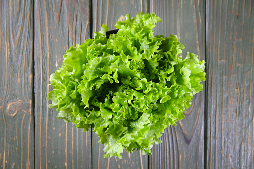 fresh green lettuce in a bowl