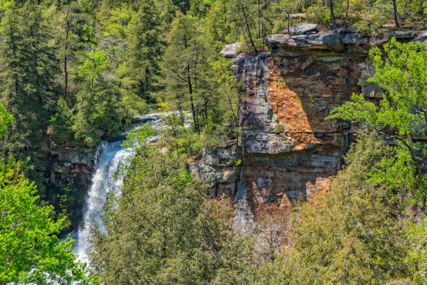 istock Piney Creek Falls In Fall Creek Falls State Park 680286644
