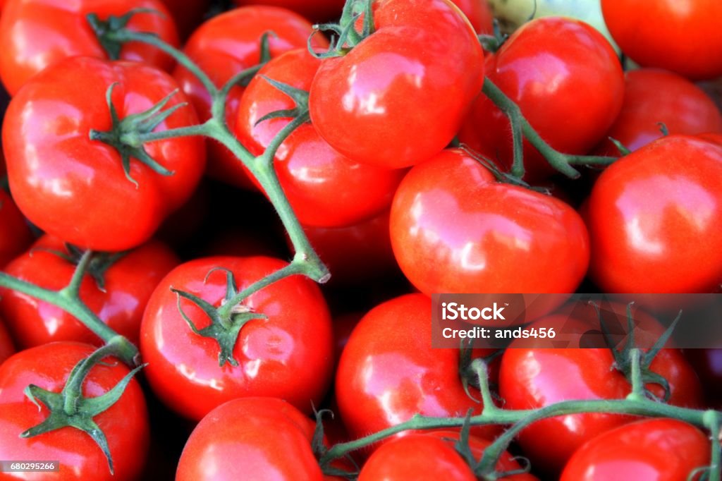 Tomates de vigne - Photo de Aliment libre de droits