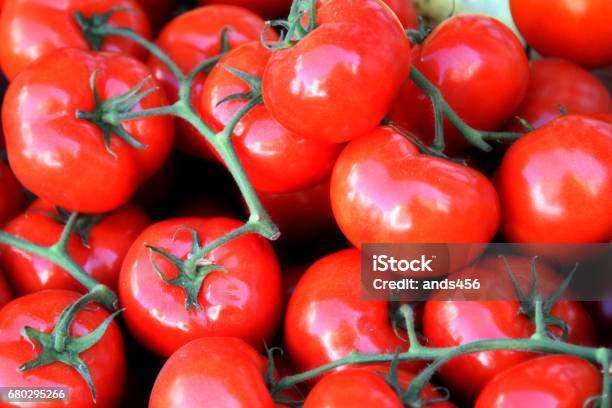 Photo libre de droit de Tomates De Vigne banque d'images et plus d'images libres de droit de Aliment - Aliment, Aliment cru, Aliments et boissons