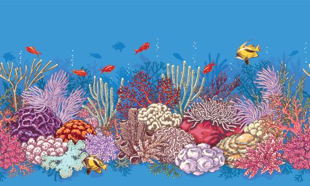 Coral Reef  Line Pattern Hand drawn underwater natural elements. Coral reef horizontal border. Vivid  seamless pattern made with corals and swimming fishes. Undersea bottom texture great barrier reef coral stock illustrations
