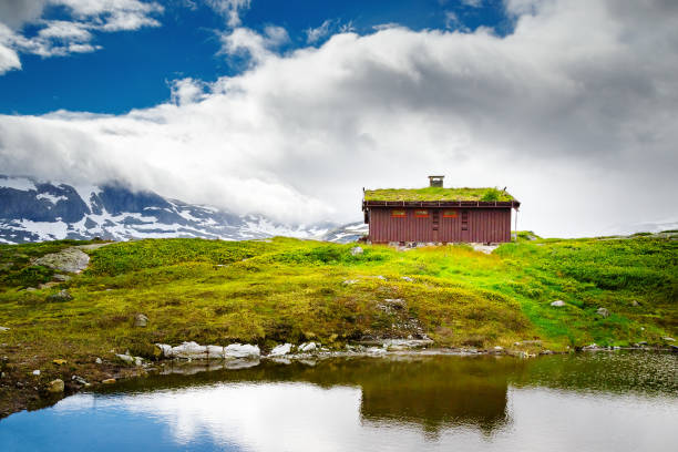 丘の上に孤独な田舎の家を持つシーンは、スカンジナビアの建設デザインの伝統で建てられた - 自然に優しいデザイン、屋根に草と家。湖岸に位置しています。ノルウェー、スカンジナビア� - scandinavian lake cottage house ストックフォトと画像