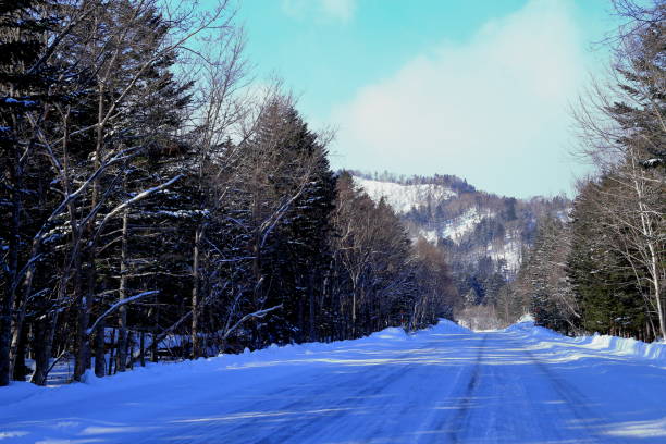 istock Winter landscape of Hokkaido 680336534