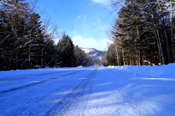 istock Winter landscape of Hokkaido 680338920