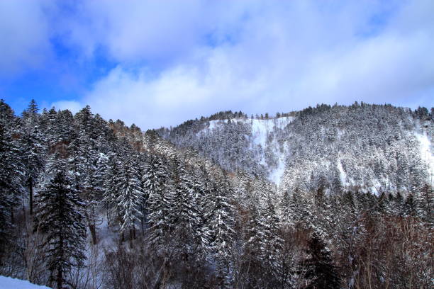 istock Winter landscape of Hokkaido 680343254