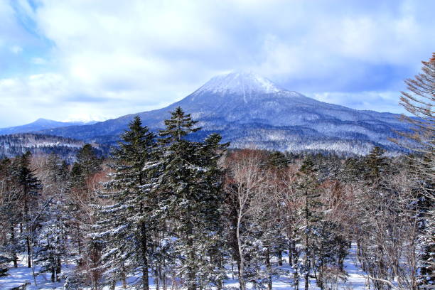 istock Winter landscape of Hokkaido 680346398