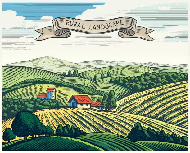 Vector illustration of Rural landscape and ribbon.