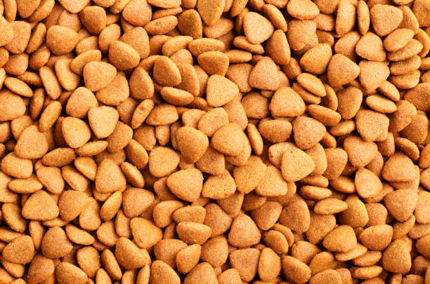 istock Dried dog food background 680364040