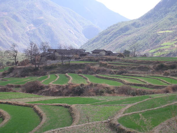 istock Naxi village 680367548