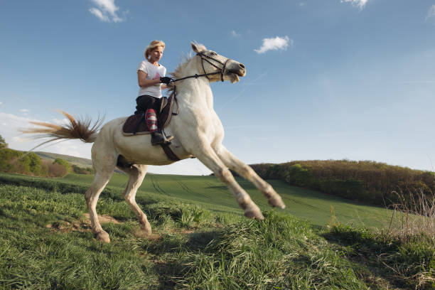 istock Woman with white horse 680373682