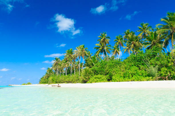 istock sea in Maldives 680380858