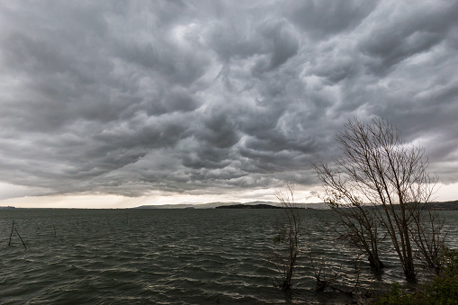 Some spectacular and menacing clouds over a lake, with some trees bent by the wind in the foreground