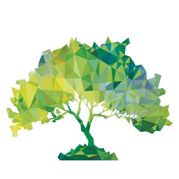 녹색 나무의 다각형 실루엣 벡터 - tree environment oak tree symbol stock illustrations