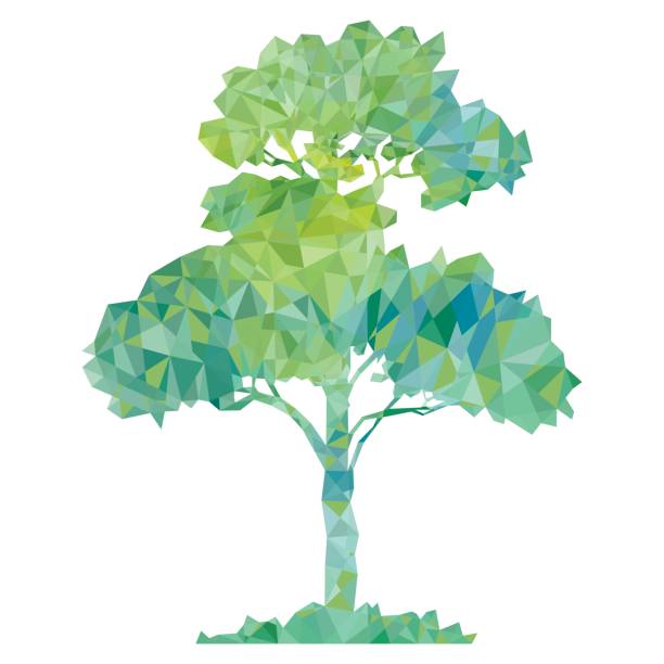 illustrations, cliparts, dessins animés et icônes de silhouette polygonale vecteur d’arbre vert - maple tree tree silhouette vector