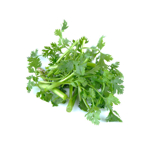 istock parsley piece isolated on the white background 680386102