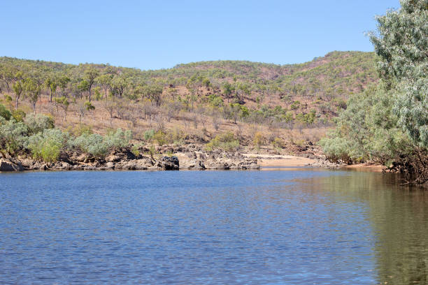 istock Idyllic billabong view with bush 680386170