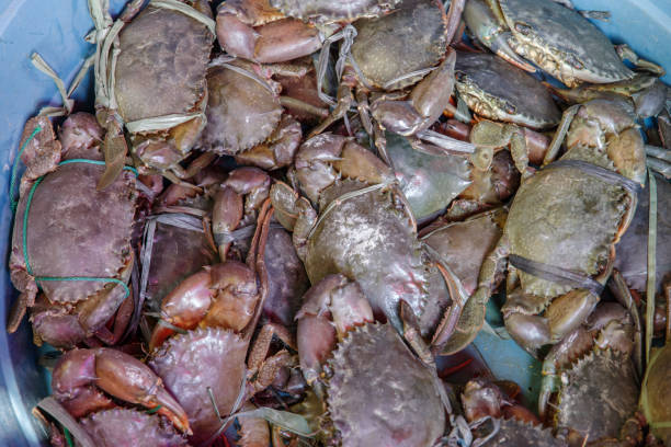 istock crab on the Traditional Market 680386862