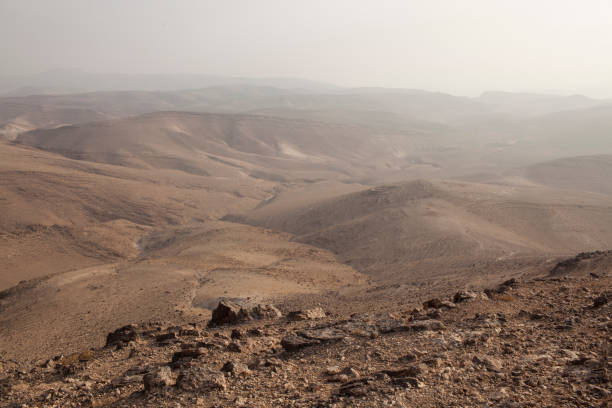 바위 사막 풍경 배경입니다. - negev middle east desert 뉴스 사진 이미지