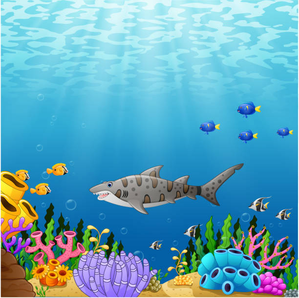 아름 다운 수 중 세계와 만화 열 대 상어 물고기 - vector reef coral shark stock illustrations