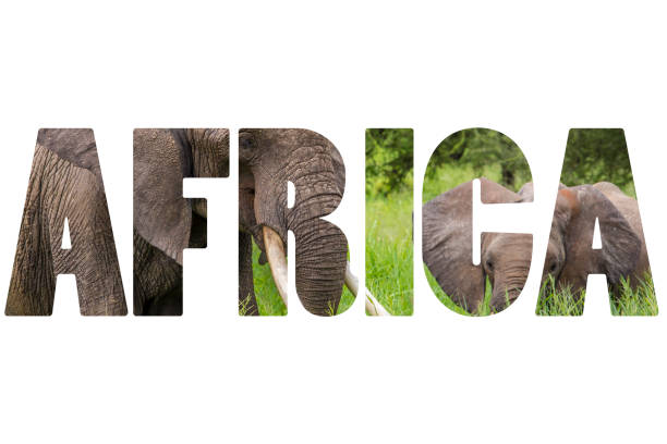 Word AFRICA over wild animals.
