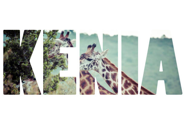 istock Word KENIA over wild animals. 680423104