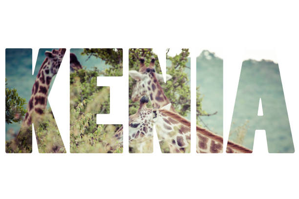istock Word KENIA over wild animals. 680423642