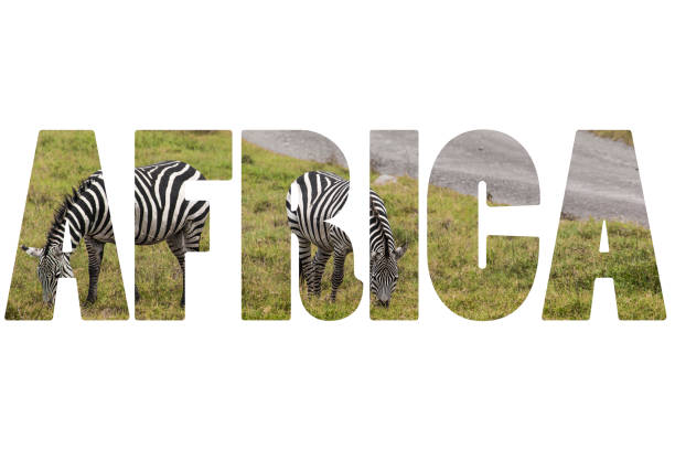 istock Word AFRICA over wild animals. 680423724