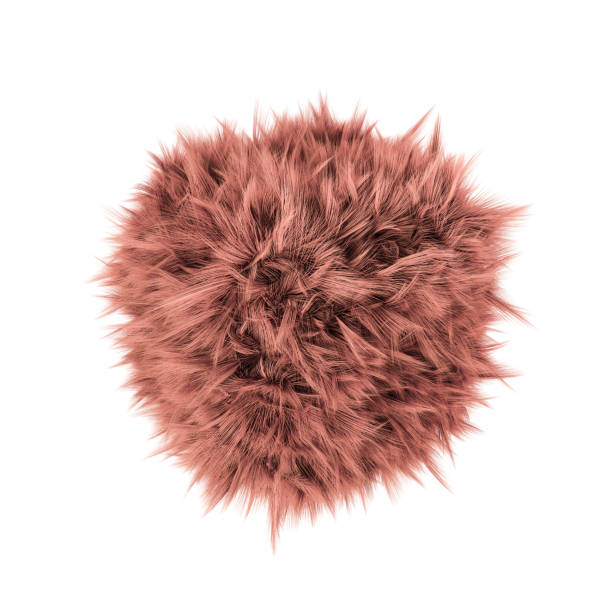 ball of fur
