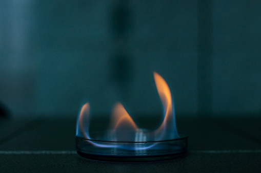 Ethanol fire in glass lab plate for science experiment