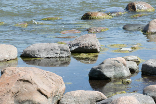 istock Stones in water on the seashore 680446430