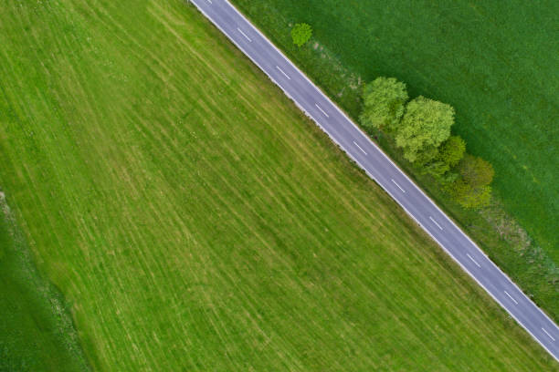 istock Street crossing the nature 680449906