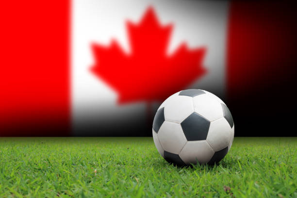 istock football ball on green grass 680450094