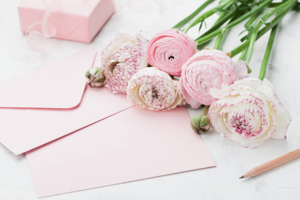 Envelope or letter, paper card, gift and pink ranunculus flowers. Greeting on Mothers or Womans Day. Envelope or letter, paper card, gift and pink ranunculus flowers on white table for greeting on Mother or Woman Day. Can be used as wedding mockup. pink envelope stock pictures, royalty-free photos & images