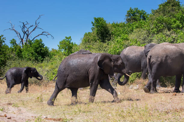 istock The exotic and active tourism 680464442