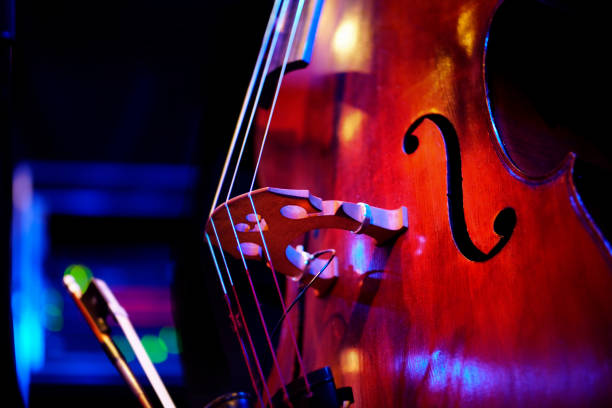 double bass on stage double bass on stage double bass stock pictures, royalty-free photos & images