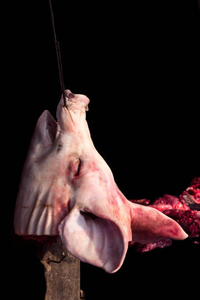 istock Pig Head in Food Market 680472396
