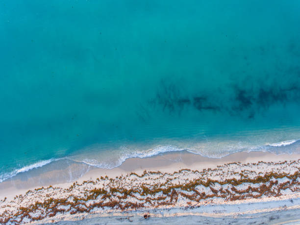 istock Aerial view of Miami beach 680474772