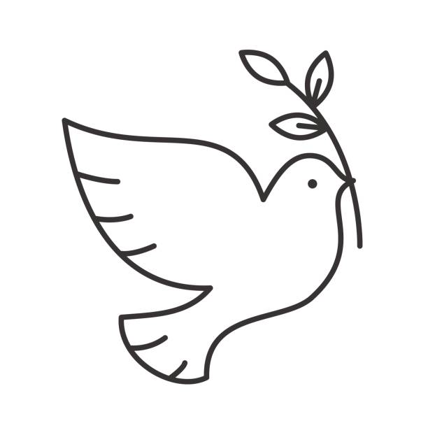illustrazioni stock, clip art, cartoni animati e icone di tendenza di colomba con icona brunch olivicolo - colomba