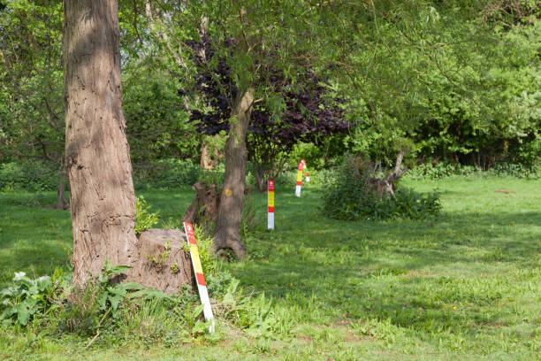 istock Gas main danger signs in a row in parkland 680484234
