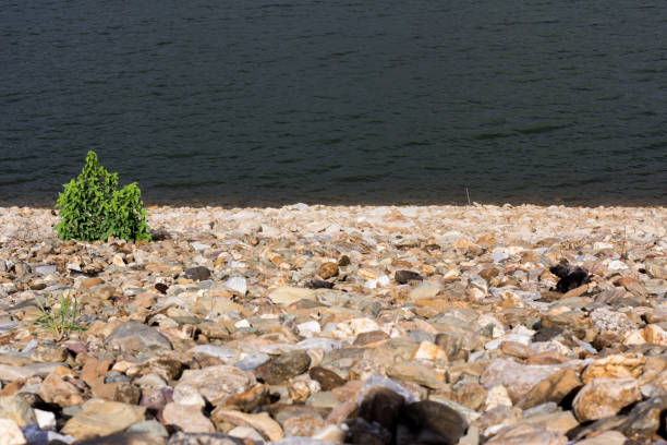 The abundant reservoir in northern Thailand.