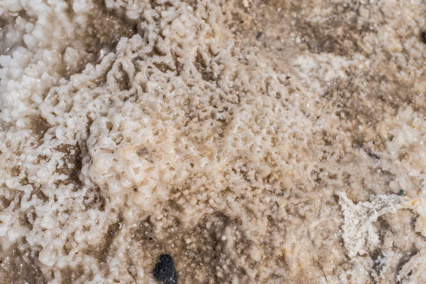 istock Dried dead sea salt closeup 680485904