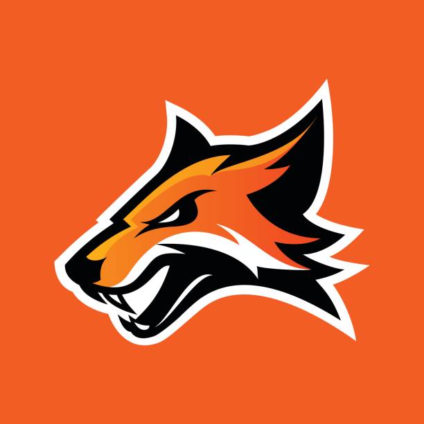 ilustrações de stock, clip art, desenhos animados e ícones de furious fox sport club vector logo concept isolated on orange background. - mascot anger baseball furious