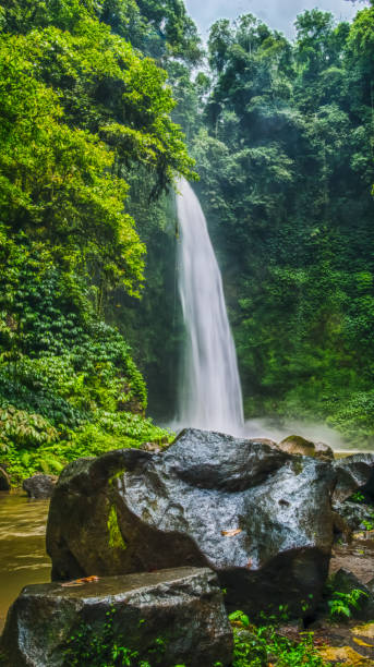 istock Amazing Nungnung waterfall, Big stone in front, Bali, Indonesia 680494490