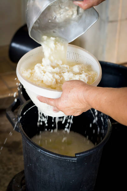 Producing cheese Woman producing cheese by hand. dairy producer stock pictures, royalty-free photos & images