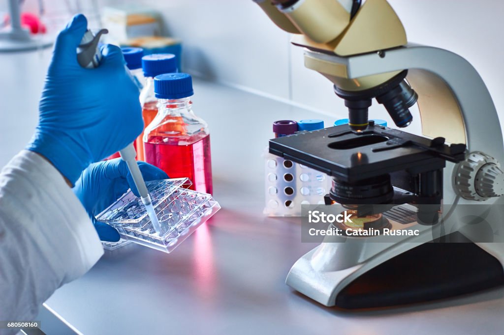 Cancer research Scientist pipetting research samples by the microscope Stem Cell Stock Photo