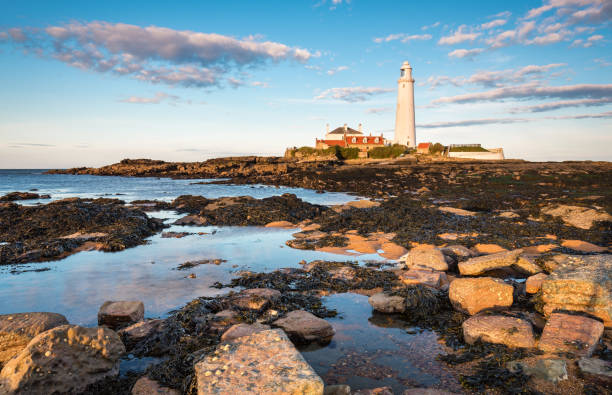 istock St Mary's Lighthouse Rock Pools 680510692