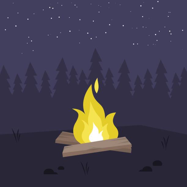 żółte ognisko w nocnym lesie. nie ma ludzi. kopiuj spację / płaską edytowalną ilustrację wektorową, obiekt clipart - clip path stock illustrations